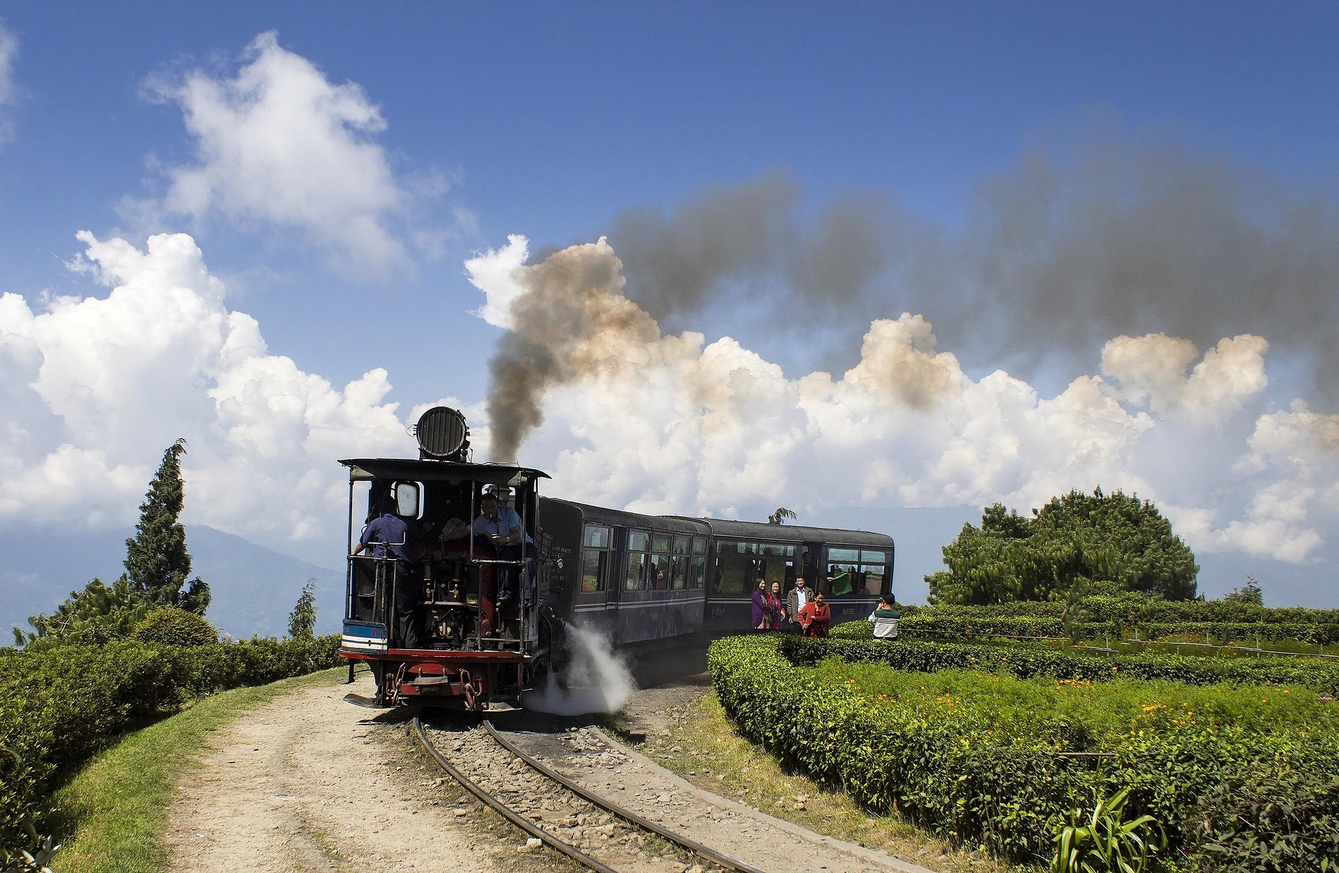 DARJEELING